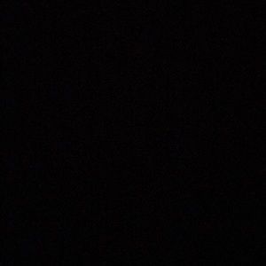 Meet your Posher, Lainey